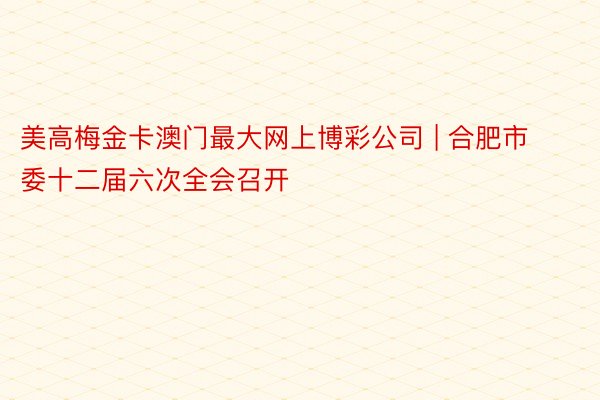 美高梅金卡澳门最大网上博彩公司 | 合肥市委十二届六次全会召开