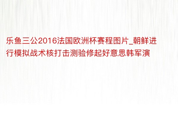 乐鱼三公2016法国欧洲杯赛程图片_朝鲜进行模拟战术核打击测验修起好意思韩军演